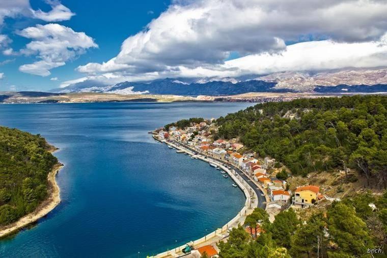 Apartment Marija Novigrad  Екстериор снимка